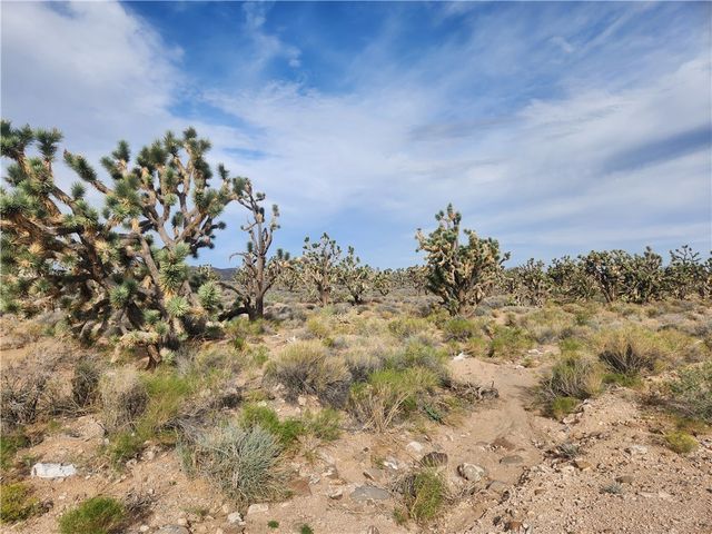 26601 N Bullhead Road, Meadview, AZ 86444