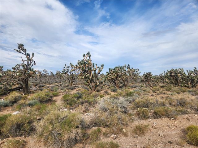 26601 N Bullhead Road, Meadview, AZ 86444