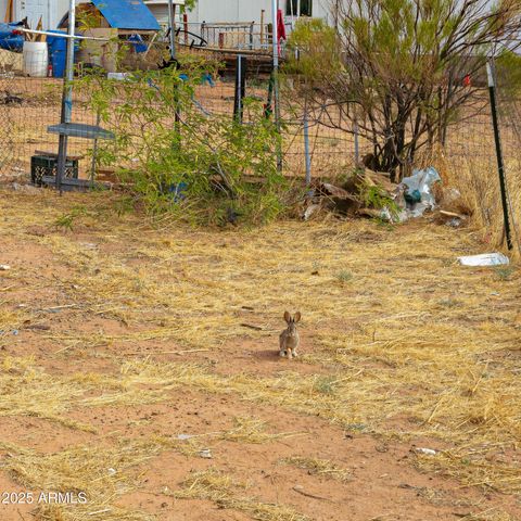 9519 E Guardian Lane 0, Hereford, AZ 85615