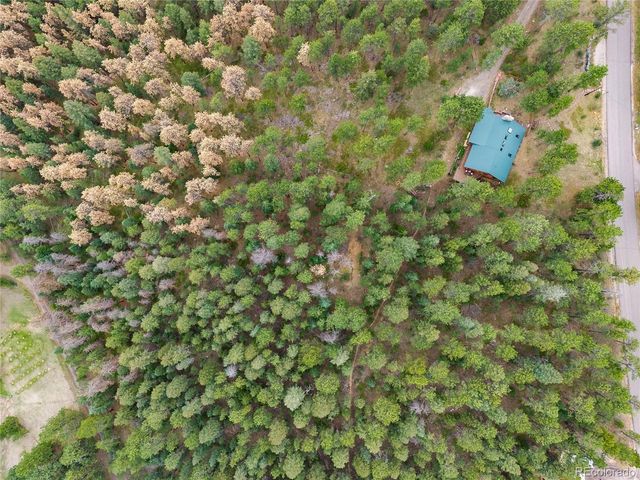 29661 Rainbow Hill Rd, Evergreen, CO 80439