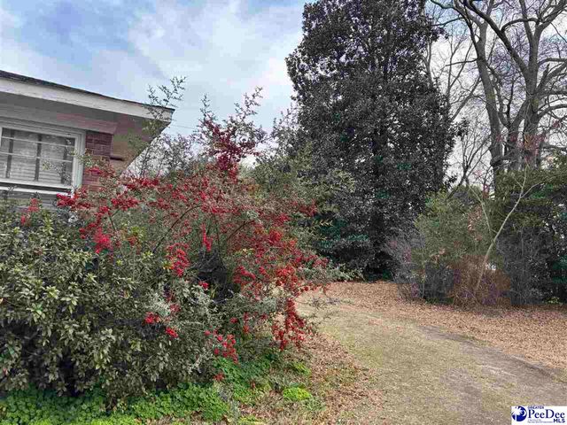 1928 S Fifth Street, Hartsville, SC 29550