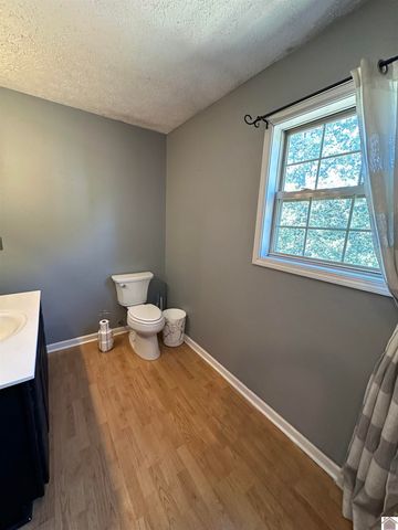 330 Alexander Road, Dawson Springs, KY 42408