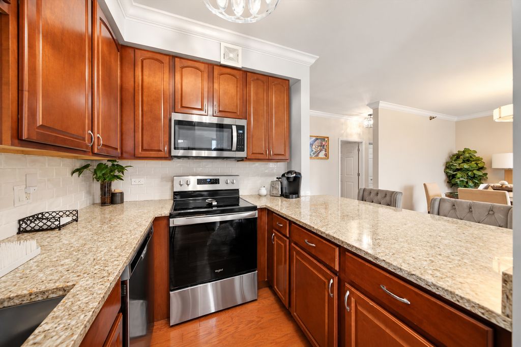 435 W Erie Street 801, Chicago, IL 60654 — photo 4