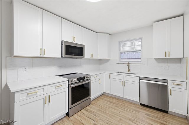 3396 W 119th Street, Cleveland, OH 44111