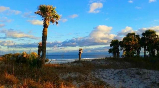 811 Cedar St., Georgetown, SC 29440