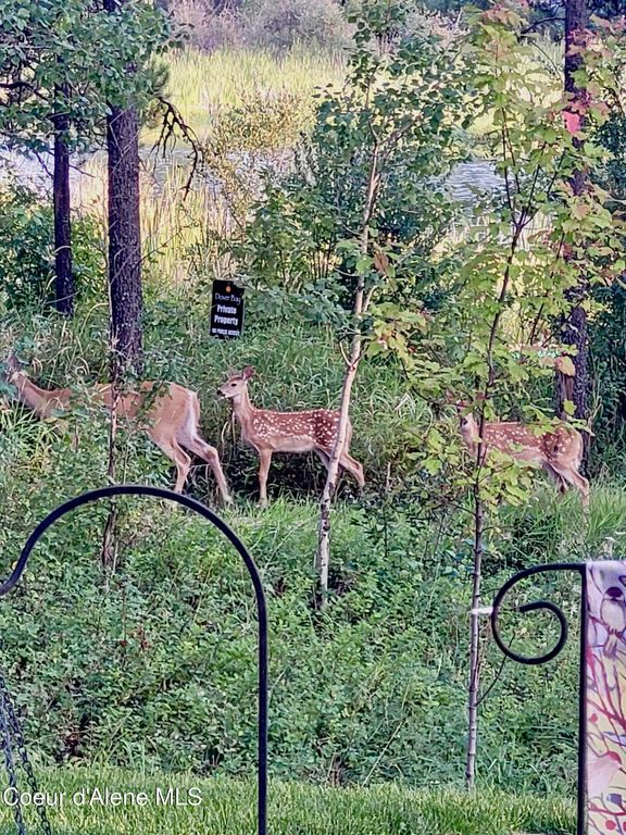 891 Ames WAY, Dover, ID 83825 photo 45