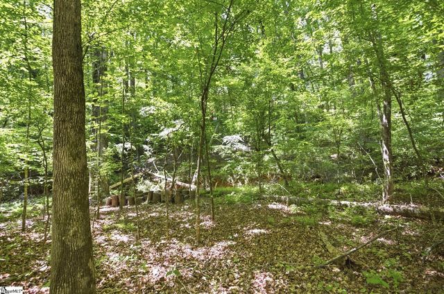912 Watercrest Road, West Union, SC 29696