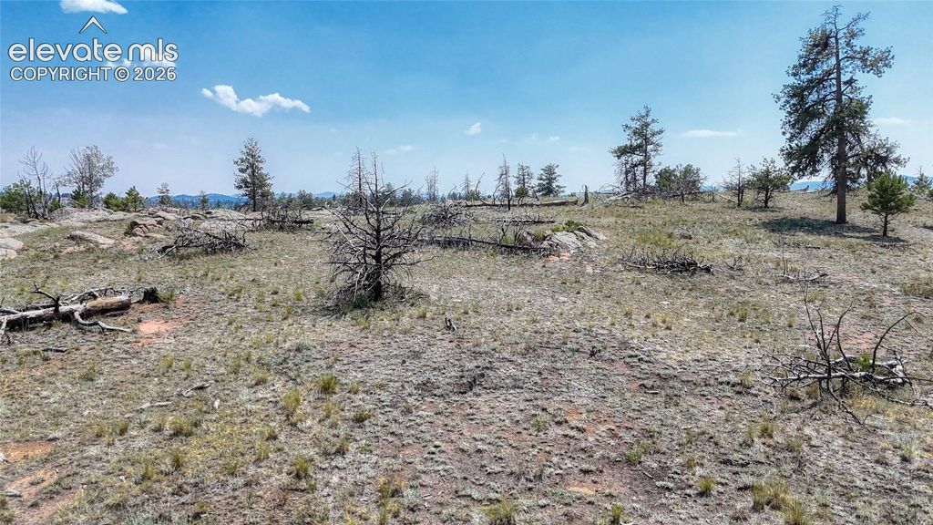 617 Chateau Vista, Florissant, CO 80816 — photo 2