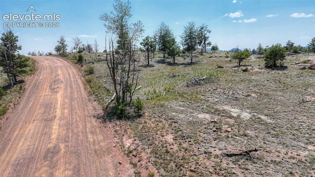 617 Chateau Vista, Florissant, CO 80816 — photo 3