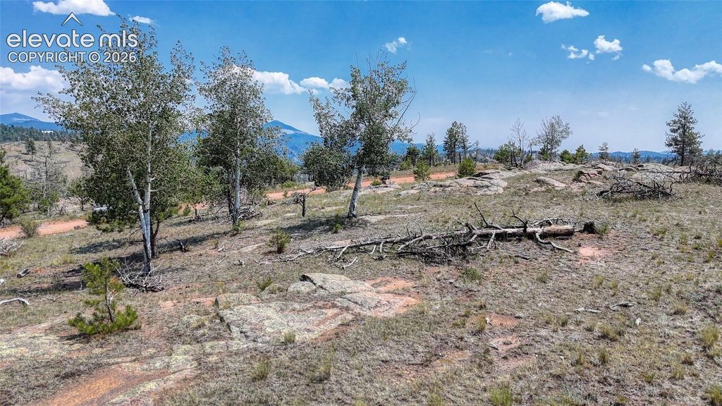 617 Chateau Vista, Florissant, CO 80816 — photo 5
