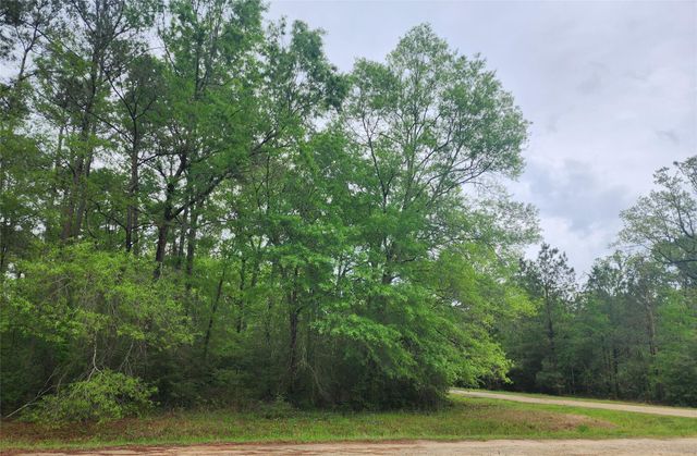 TBD Cloverdale, Livingston, TX 77351