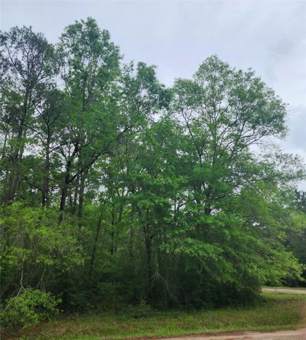 TBD Cloverdale, Livingston, TX 77351