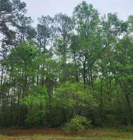 TBD Cloverdale, Livingston, TX 77351