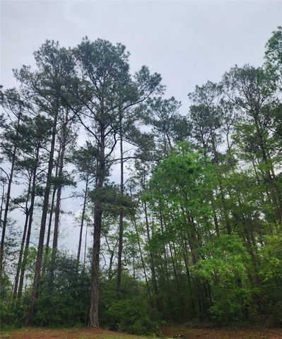 TBD Cloverdale, Livingston, TX 77351