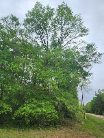 TBD Cloverdale, Livingston, TX 77351