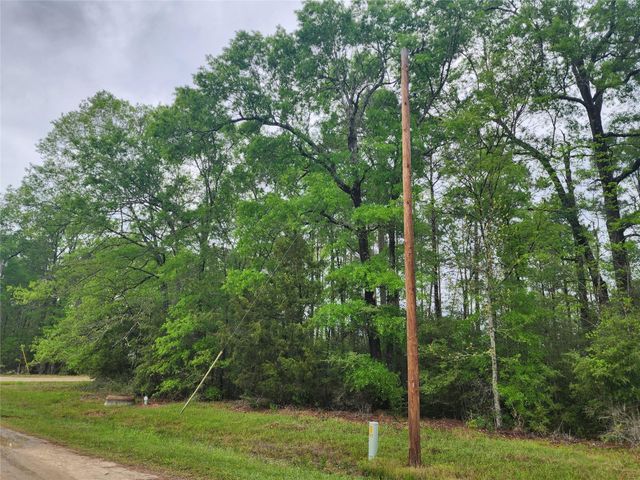 TBD Cloverdale, Livingston, TX 77351