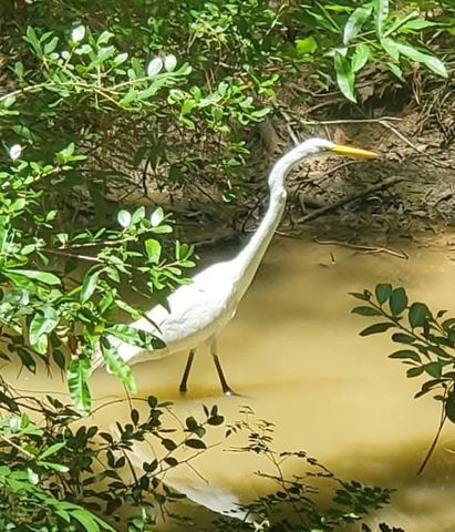 TBD Cloverdale, Livingston, TX 77351