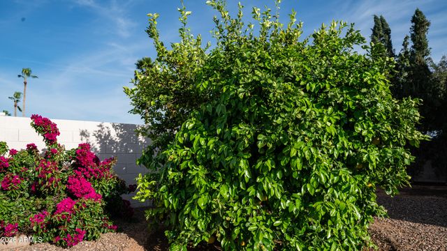 408 E MEADOWS Lane, Gilbert, AZ 85234