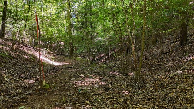 184 Beaver Ridge Road, Murphy, NC 28906