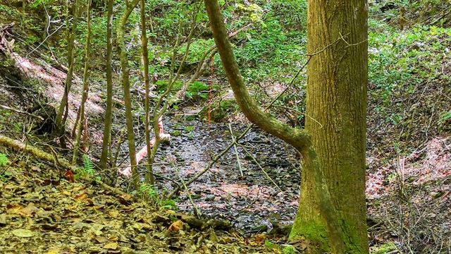 184 Beaver Ridge Road, Murphy, NC 28906