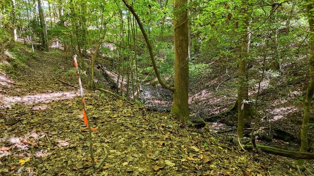 184 Beaver Ridge Road, Murphy, NC 28906