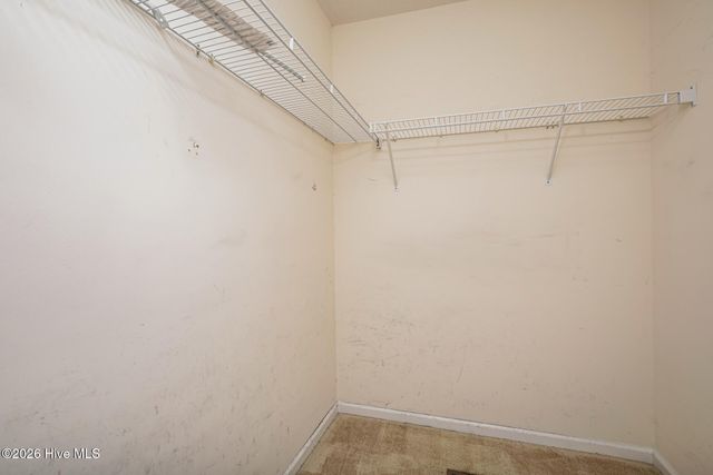 100 Payne Court, Rocky Mount, NC 27801