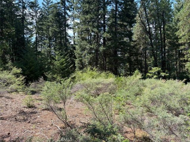 9936 Fobes, Unincorporated, CA 92256