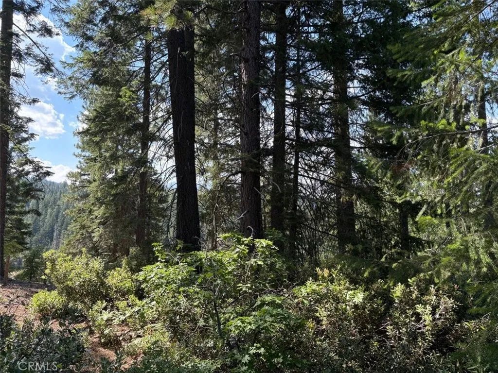 9936 Fobes, Unincorporated, CA 92256