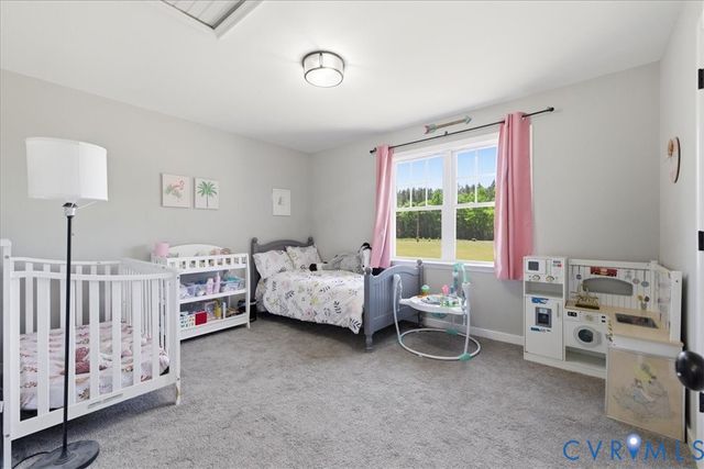 11050 County Dr, Disputanta, VA 23842