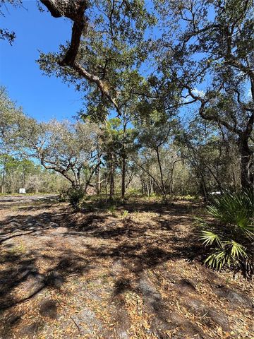 SOUTH SHORE DR, Lake Wales, FL 33898