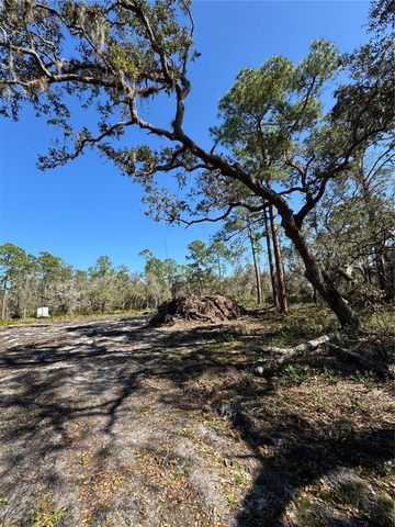 SOUTH SHORE DR, Lake Wales, FL 33898