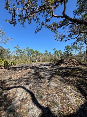 SOUTH SHORE DR, Lake Wales, FL 33898