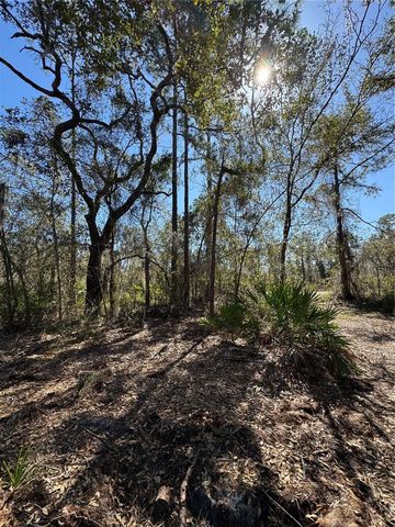 SOUTH SHORE DR, Lake Wales, FL 33898