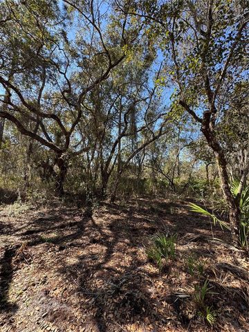 SOUTH SHORE DR, Lake Wales, FL 33898