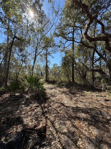 SOUTH SHORE DR, Lake Wales, FL 33898