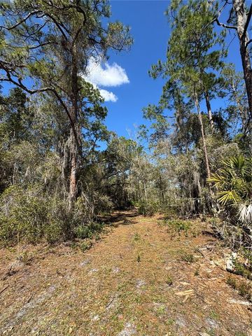 SOUTH SHORE DR, Lake Wales, FL 33898