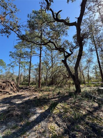 SOUTH SHORE DR, Lake Wales, FL 33898