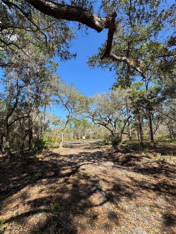 SOUTH SHORE DR, Lake Wales, FL 33898