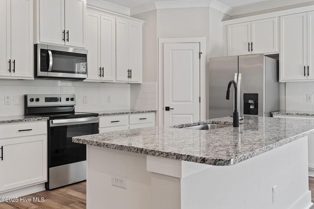 38 Umbrella Palm Drive, Hampstead, NC 28443