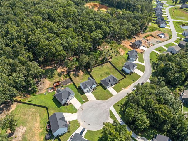 6517 Long Horn Street, Birchwood, TN 37308