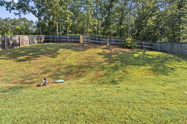 6517 Long Horn Street, Birchwood, TN 37308