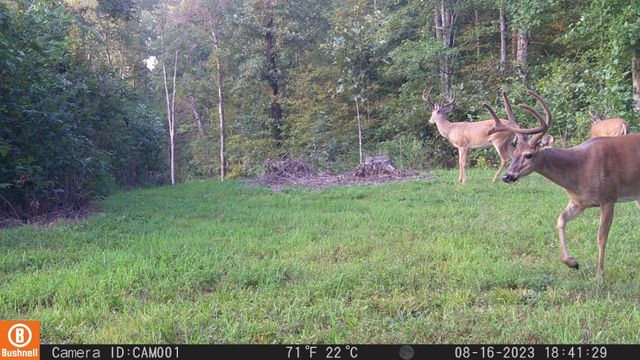 0 Herman Adams Rd, Cumberland City, TN 37050