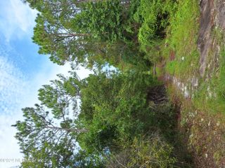 0 E ST JOHNS Street, Palatka, FL 32177