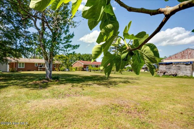 113 N First Avenue, New Bern, NC 28560