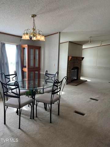 675 Shakerag Road, Greeneville, TN 37743