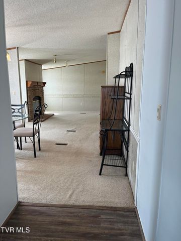 675 Shakerag Road, Greeneville, TN 37743