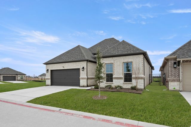 217 Ravenna Boulevard, Justin, TX 76247