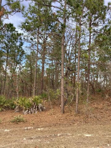 0 CHICKADEE ROAD, Weeki Wachee, FL 34614