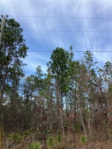 0 CHICKADEE ROAD, Weeki Wachee, FL 34614
