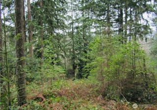 4606 West Tapps, Lake Tapps, WA 98391